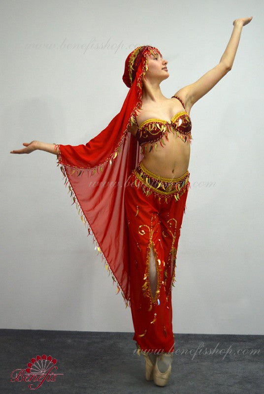 MoLiYanZi Belly Dance Dress for Women Costume Set Professional  Dancewear/LED Belly Dancing Costume
